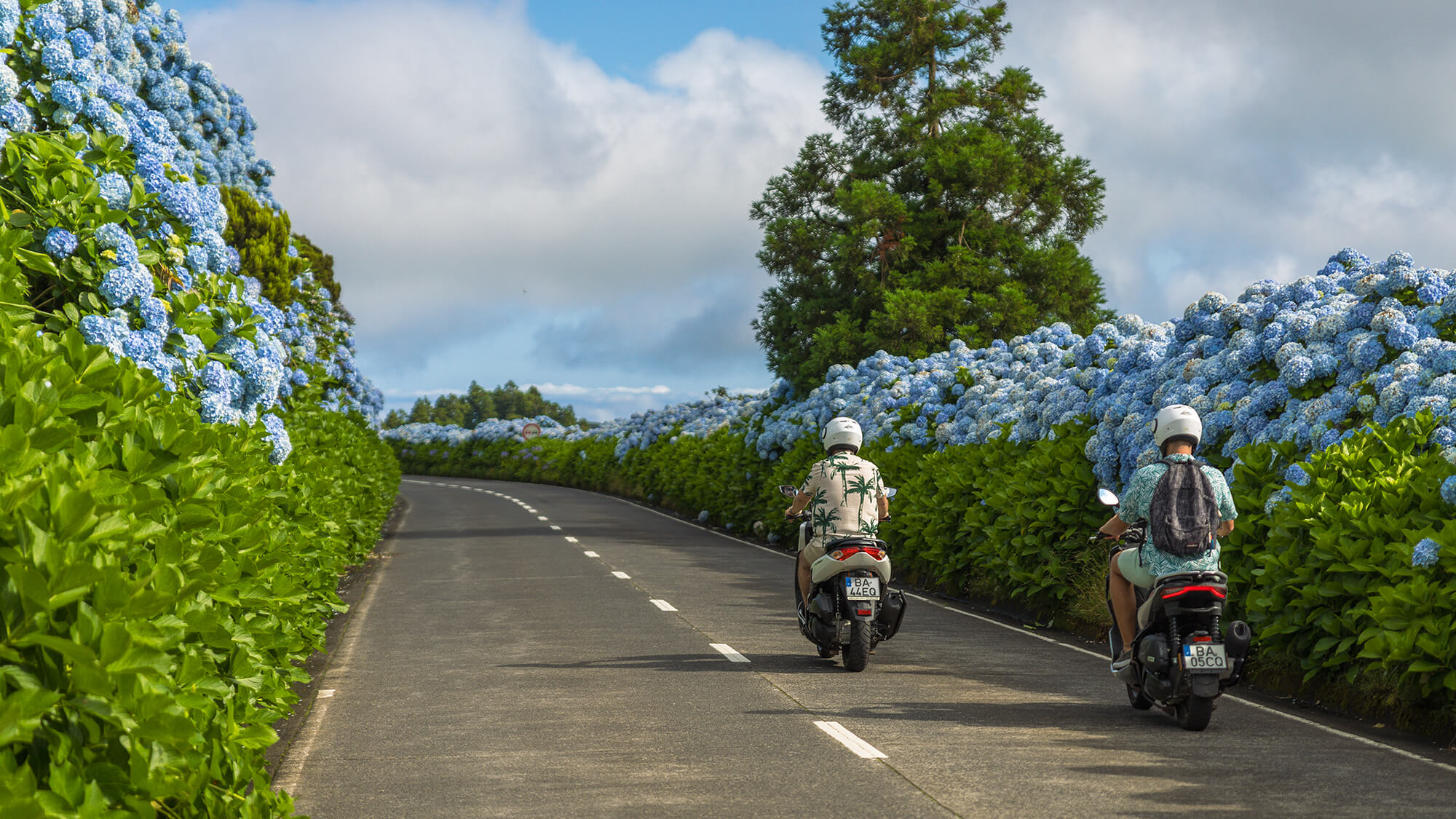 MicMoto Rent-a-Car